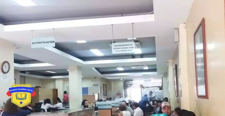 Notaria 1 armenia de turno hoy