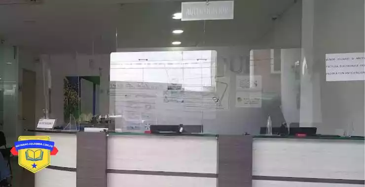 Notaria 5 armenia trámites y servicios