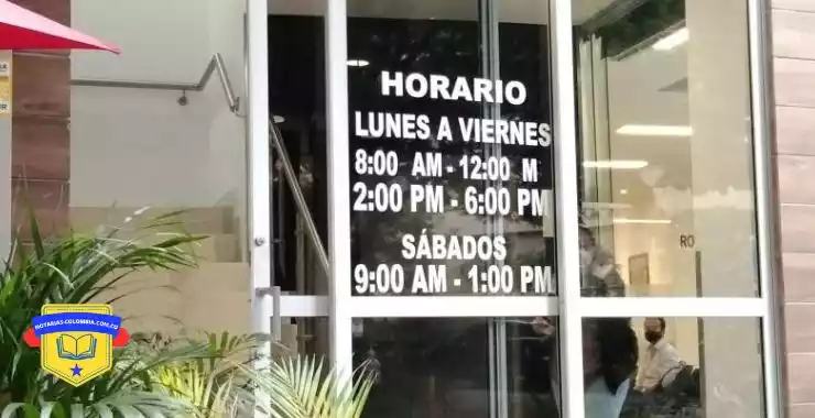 Notaria 6 medellin horarios de atención