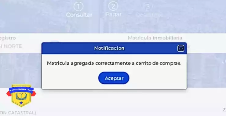 paso 3 como obtener certificado de tradicion y libertad